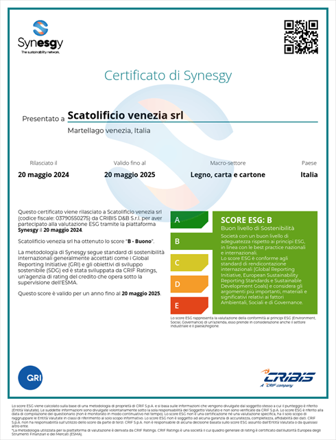 Certificazione Synesgy 2024 attestante lo score di riferimento nella sostenibilità della nostra azienda
